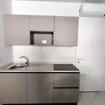 Renovated Flat With Terrace In