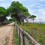 Renovated Flat With Terrace In Appartement Bibione